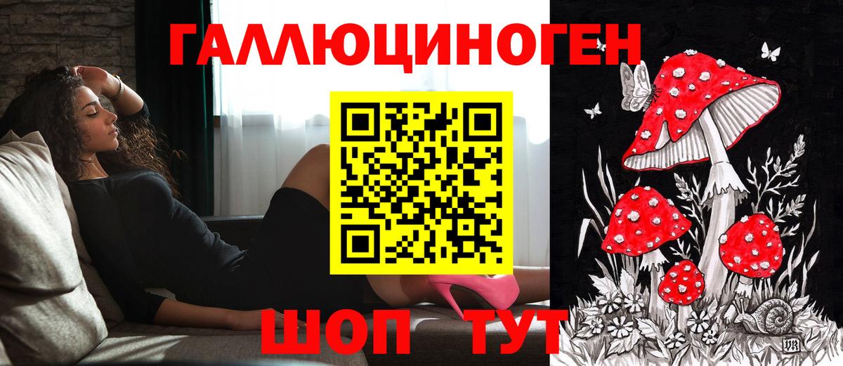 Галлюциногенные грибы GOLDEN TEACHER Армавир